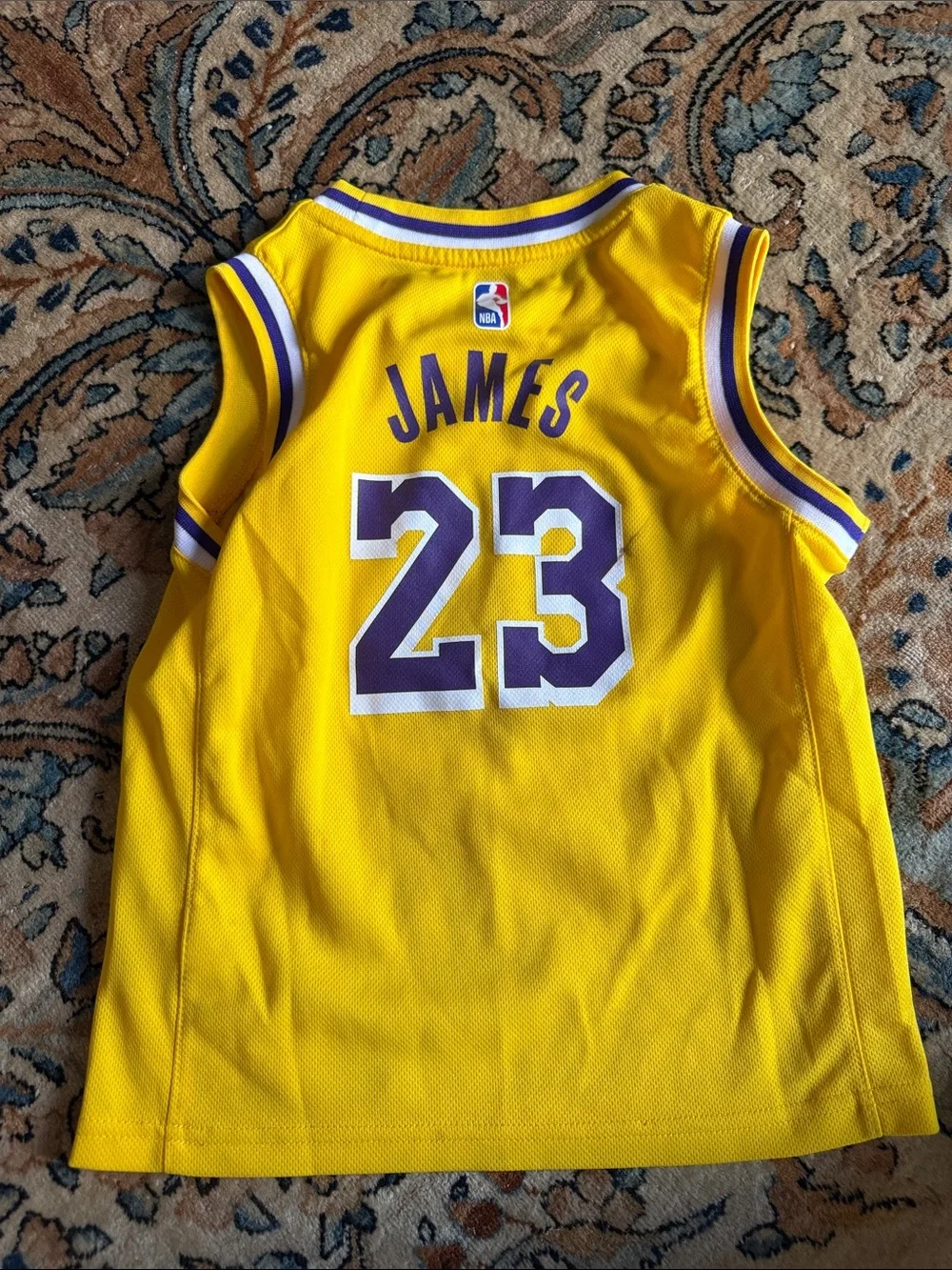 Nike Kids Lakers Yellow/Purple #23 Basketball Jersey well loved James kids 8y 💛💜